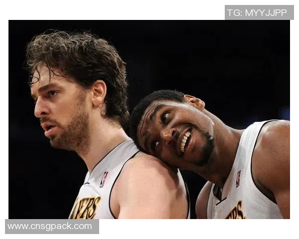 2014年火箭队与国王队精彩对决录像回放全程回顾与分析