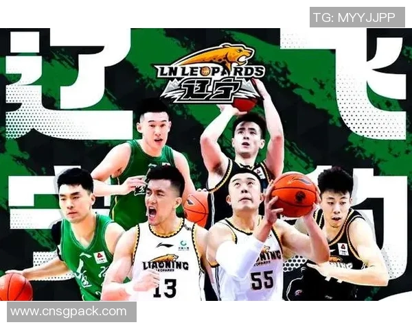 CBA广夏对阵深圳激战在即球迷期待精彩对决与精彩表现