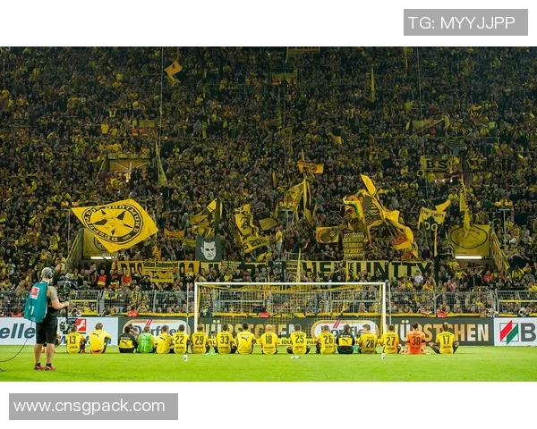 多特蒙德与莱红牛精彩对决动画直播全程回顾与分析 多特蒙德与莱红牛精彩对决动画直播全程回顾与分析