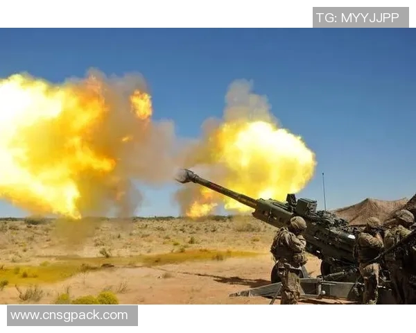 巴里与布雷西亚的激战分析及双方战术对比探讨