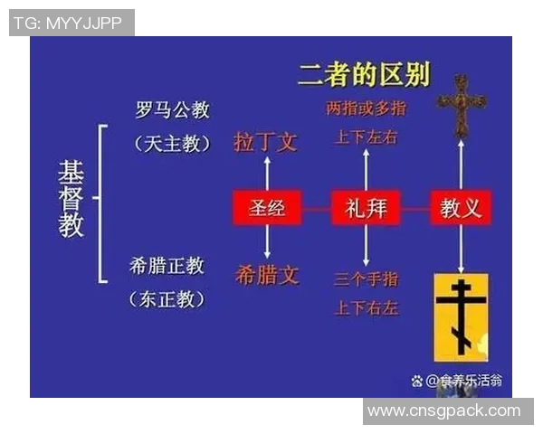普R斯与拿加沙的对决：历史背景与未来走向的深度剖析