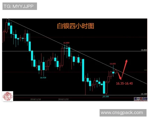 浙江对阵广东的精彩直播盛况全程回顾与分析