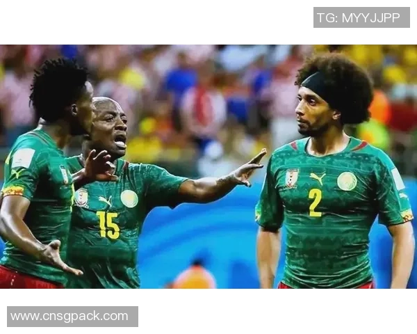 巴西与喀麦隆2018世界杯精彩对决分析与推荐策略分享