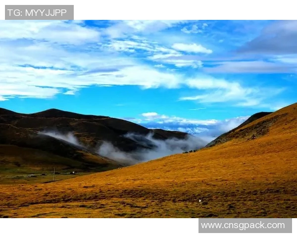 李泓澎的艺术旅程与人生哲学探索:从创作到心灵的深度对话 李泓澎的艺术旅程与人生哲学探索:从创作到心灵的深度对话