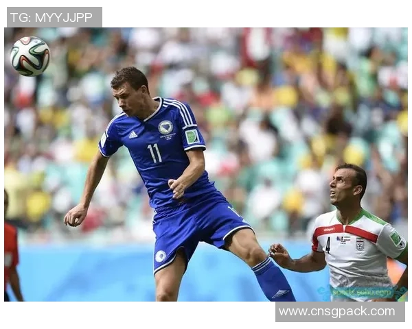 波黑与伊朗精彩对决完整视频回顾与赛后分析