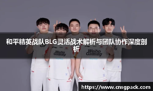 和平精英战队BLG灵活战术解析与团队协作深度剖析