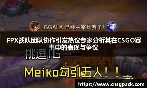 FPX战队团队协作引发热议专家分析其在CSGO赛事中的表现与争议