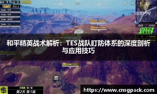和平精英战术解析：TES战队盯防体系的深度剖析与应用技巧