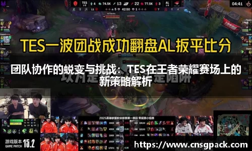 团队协作的蜕变与挑战：TES在王者荣耀赛场上的新策略解析