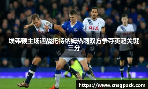 埃弗顿主场迎战托特纳姆热刺双方争夺英超关键三分