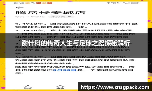 谢什科的传奇人生与足球之路探秘解析