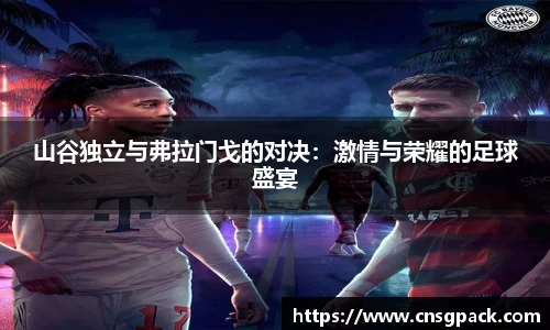 山谷独立与弗拉门戈的对决：激情与荣耀的足球盛宴