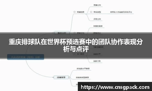 重庆排球队在世界杯预选赛中的团队协作表现分析与点评